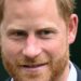 Os filhos do Príncipe Harry podem ter dificuldade para conhecer a realeza à medida que crescem – Celebrity News – Entretenimento