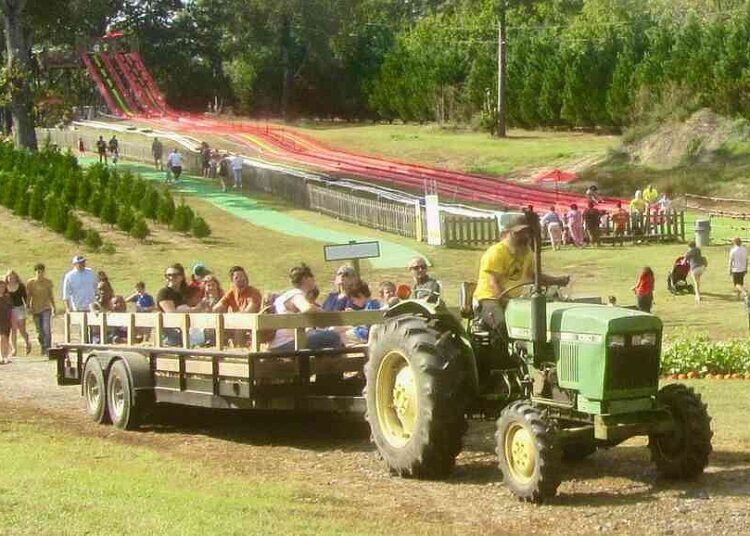 PASSEIO ARKANSAS: Fazendas de abóboras são abundantes para decoração e entretenimento sazonal