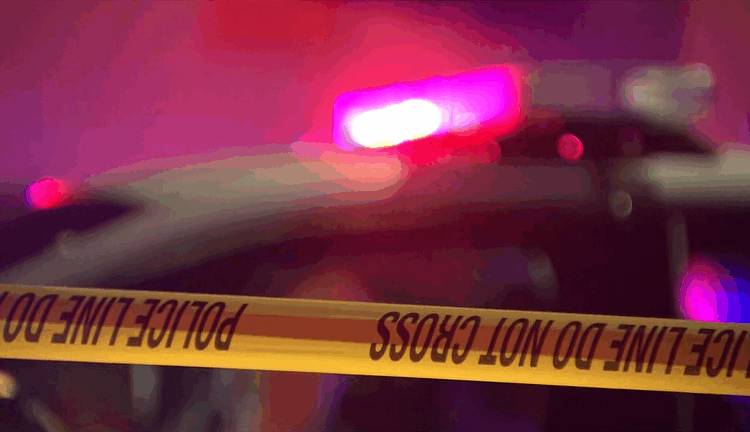 Polícia de Royal Oak: homem de 83 anos morto a facadas, mulher presa