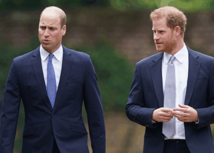 Por que William não foi perguntado sobre Harry em uma nova entrevista sincera
