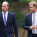 Por que William não foi perguntado sobre Harry em uma nova entrevista sincera