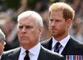 Príncipe Harry furioso com a decisão do Príncipe Andrew – Celebrity News – Entretenimento