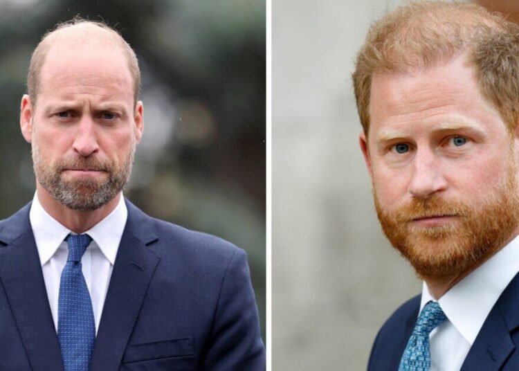 Príncipe William deixa pistas sobre o estado de sua briga com o Príncipe Harry – Royals – Notícias