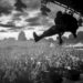 RTL Today - Sons: New Music: The Bloody Beetroots Return With New Single and New Album