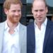 Raro comentário do príncipe William sobre o príncipe Harry