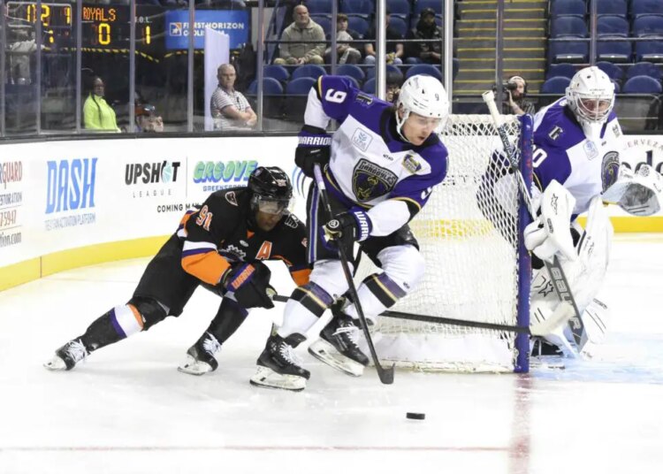 Recapitulação da série ECHL: Reading Royals vs Greensboro Gargoyles | 24/10 a 25/10/2025