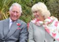 Rei Charles, Rainha Camilla acabaram de geminar e Harry e Meghan também