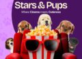 Stars and Pups: Shock Africa lança novo formato de longa-metragem para atores e celebridades de Nollywood