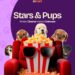 Stars and Pups: Shock Africa lança novo formato de longa-metragem para atores e celebridades de Nollywood
