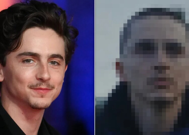 Timothée Chalamet deixa os fãs atordoados com uma transformação capilar chocante