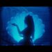 Toni Cornell encanta com novo vídeo surreal para “Campari”