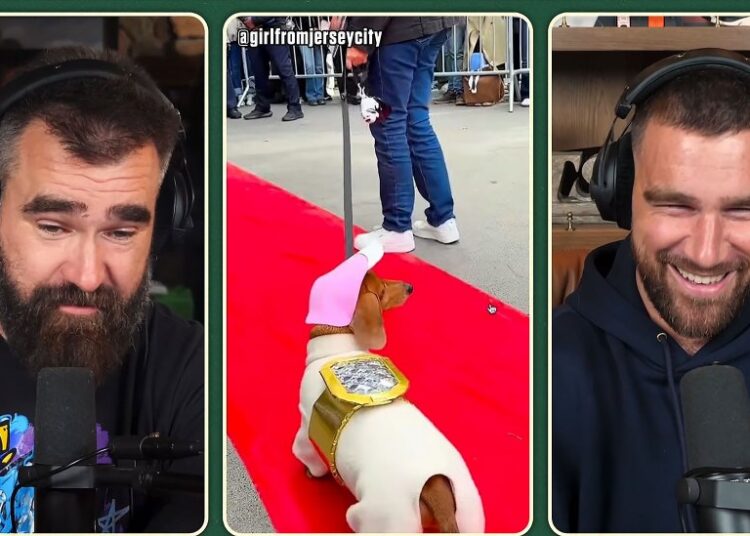 Travis Kelce reage ao cachorro vestido como o anel de Taylor Swift no Halloween