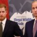 Veredicto do reencontro de Harry e William após anos de brigas – Celebrity News – Entretenimento