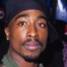 Vídeo AI 2PAC deixa a mídia social irada