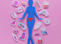 fases do ciclo menstrual.png