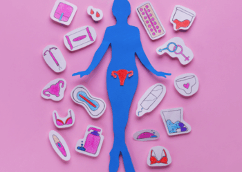 fases do ciclo menstrual.png