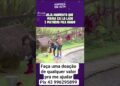 Maria cai no lago quase se afoga #afazenda17 #realityshow #noticias #fofoca #fofocas