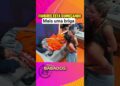 mais briga no quarto #afazenda17 #realityshow #fofocas #noticias #realityshow