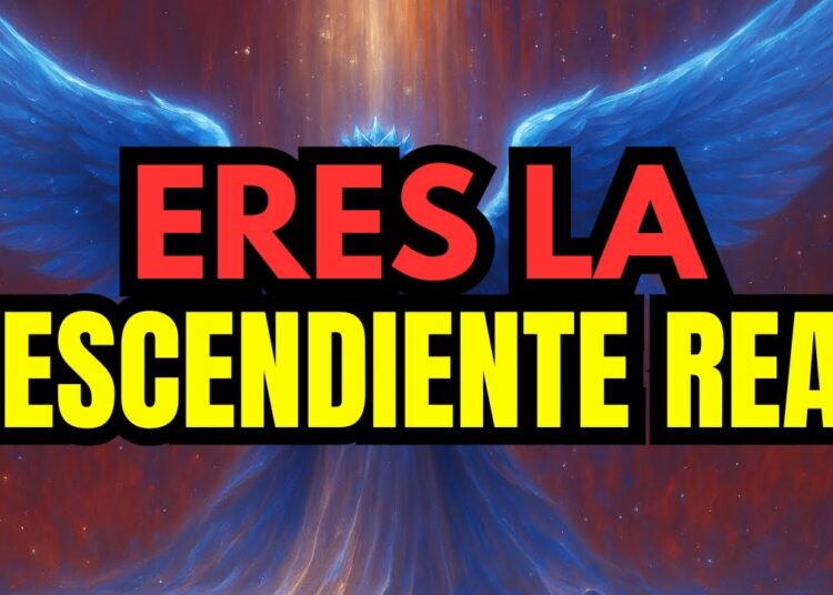 Elegidos Reunión secreta reveló tu verdadera identidad — Eres descendiente de la realeza 👑✨