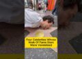 4 Celebrities Whose Walk Of Fame Stars Were Vandalized #hollywood #star #trending #movie #shorts