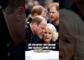 Did you notice that William was secretly crying at the Queen’s funeral #william #royal #elizabeth