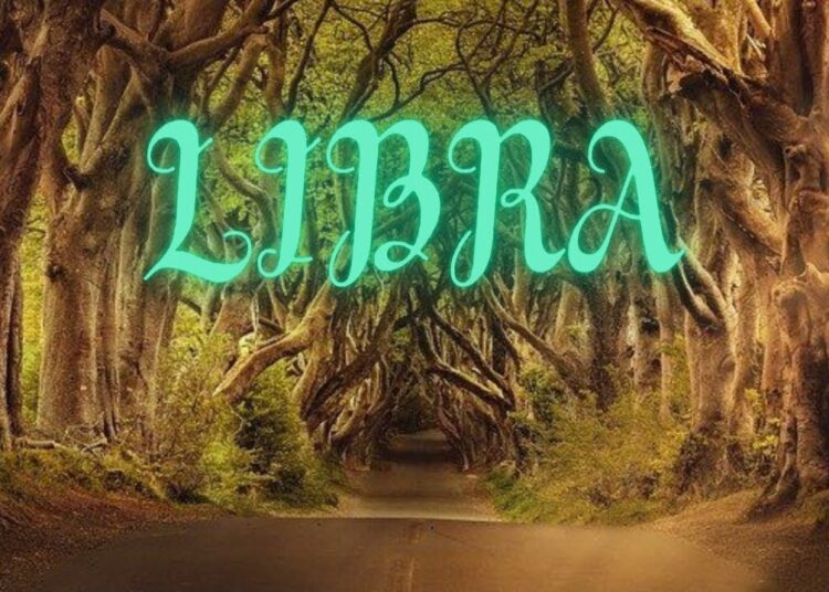 LIBRA NO LO PODRÁS CREER!🫢VIVIRÁS COMO REALEZA👑💖LA PERSONA INDICADA LLEGA!🚶💕TODO SERÁ PERFECTO🌟