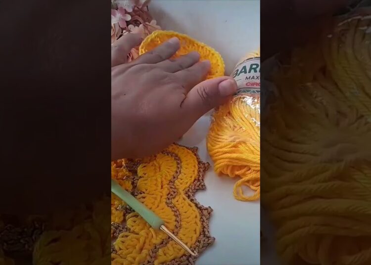 América realeza #crochet #passoapassodecroche #artesanato