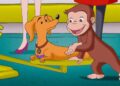 O Hundley é da Realeza? 🐵 George, o Curioso 🐵 Desenhos Animados