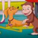 O Hundley é da Realeza? 🐵 George, o Curioso 🐵 Desenhos Animados