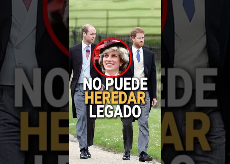 Tanto William como Harry no pueden heredar el legado de Diana. #Diana #PrinceHarry #PrinceWilliam