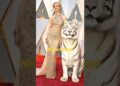 Nicole Kidman 🎬 look-alike on the red carpet ▶️ 029