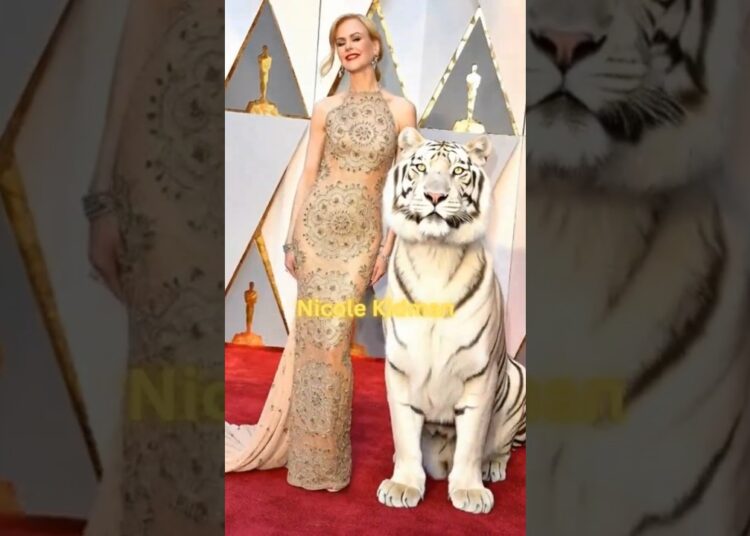 Nicole Kidman 🎬 look-alike on the red carpet ▶️ 029