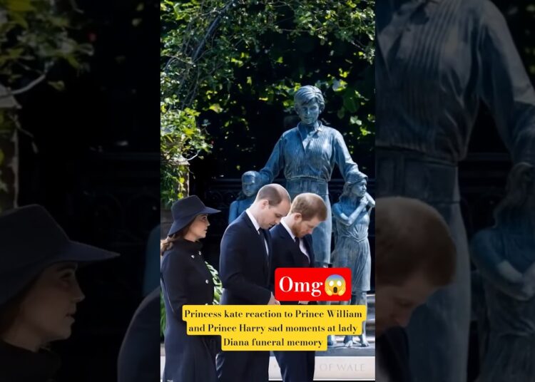 Prince William and Prince Harry sad moments at Lady Diana funeral memory #shorts #kate #princeharry