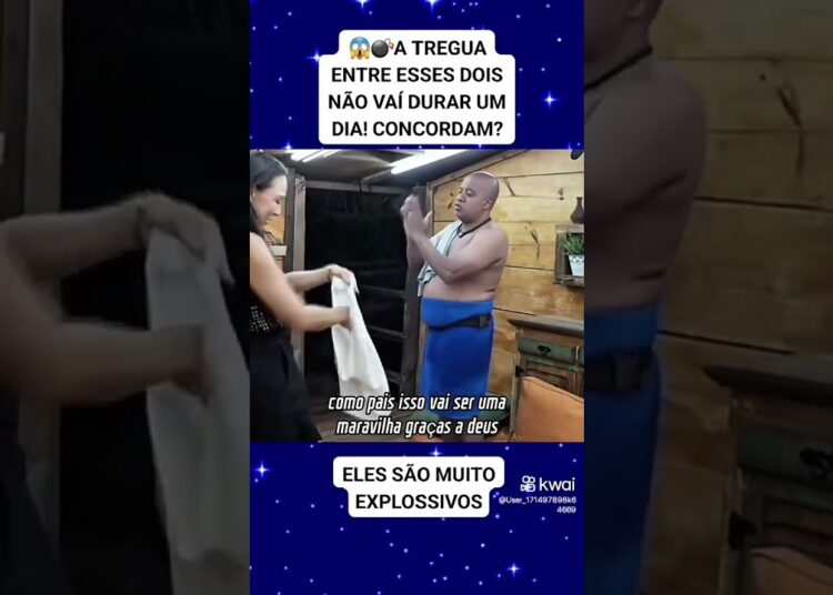 Yona coloca camisa da paz pra Toninho #afazenda17 #realityshow #noticias #fofocalizandohoje #fofoca