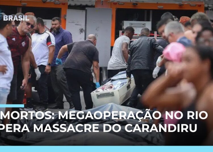 121 mortos: SBT entra em mata onde corpos foram encontrados após megaoperação no Rio | #SBTBrasil
