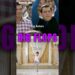 Big Actors Gave Biggest Flops PART2 #salmankhan #srk