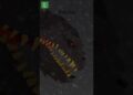 Fofocas do Hakaishin #dinozillax #godzilla #animação #shorts #kaiju
