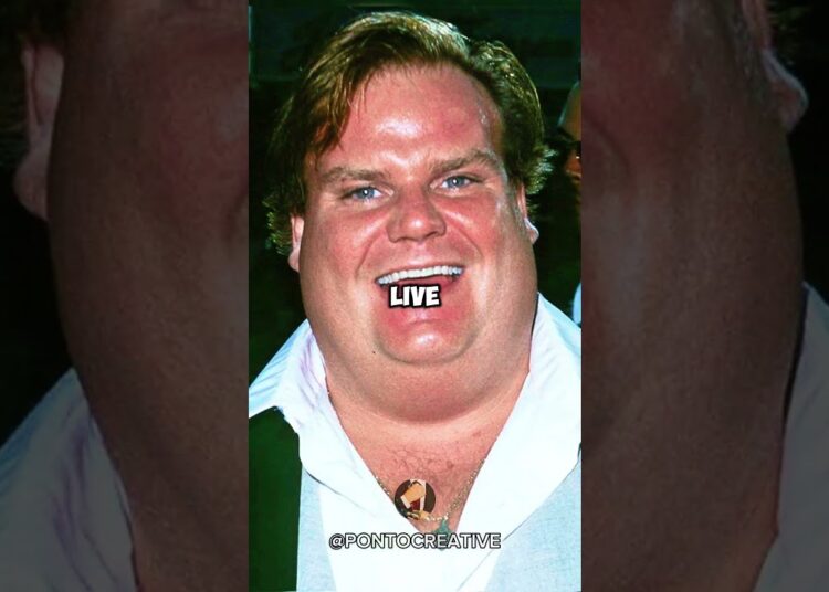 CELEBRIDADES que MORRERAM tragicamente por OVERDOSE #celebridades #hollywood #curiosidades #brazil