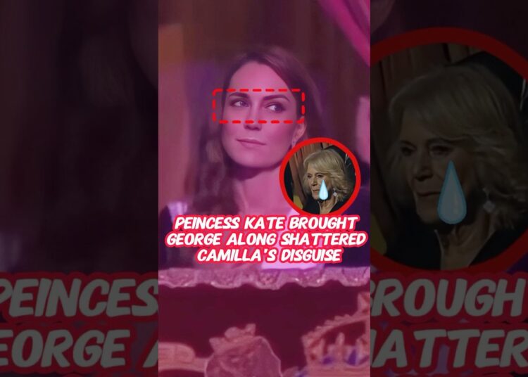 With a glance,Princess Kate apart Camilla’s disguise #royal #kate #camilla  #princegeorge #new #fyp