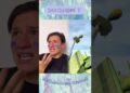 ¿SOY DE LA REALEZA? | Fabru Blacutt