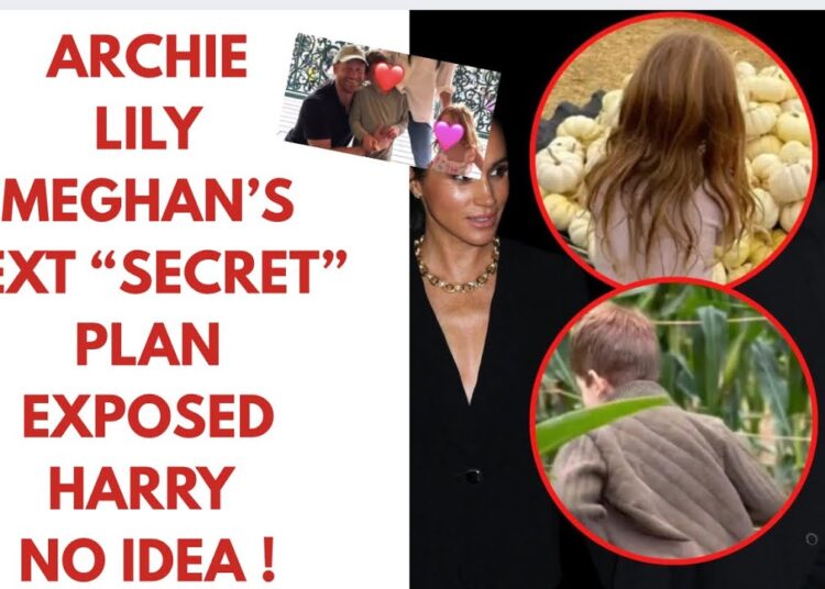 ARCHIE LILY – VERY SAD  NEXT “SECRET” MOVE – LATEST #meghanmarkle #royal #princeharry