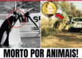 7 Celebridades mortas por animais – Finais trágicos na natureza selvagem