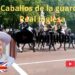 Caballos de la realeza británica