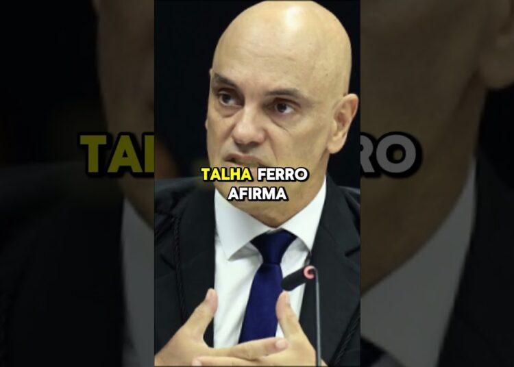 A PARTE MAIS SOMBRIA DESSA HISTÓRIA NINGUÉM TE MOSTROU #democraciaemrisco #stf #eleições #bolsonaro