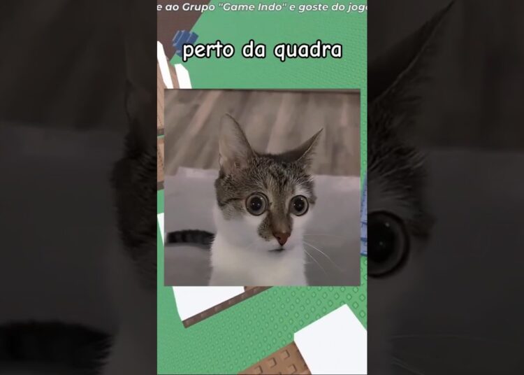 TODO MUNDO TEM AQUELE AMIGO QUE SABE TODAS AS FOFOCAS. #roblox #robloxrant