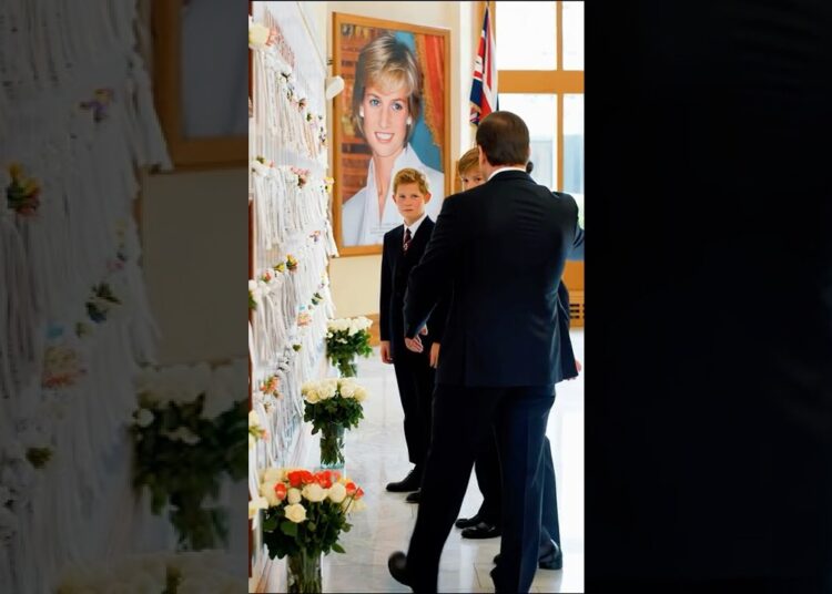 Family deeply moved honoring Diana#royal #princess #diana #royalfamily #kingcharles