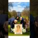 #princeharry #meghanmarkle #princewilliam #catherine #royal #diana