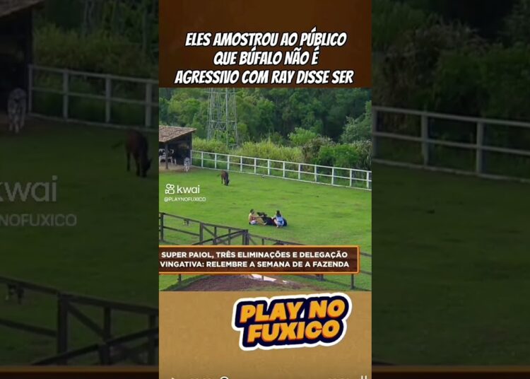 búfalos ataca Mesquita #afazenda17 #noticias #fofoca #realityshow #noticia #fofocalizandohoje