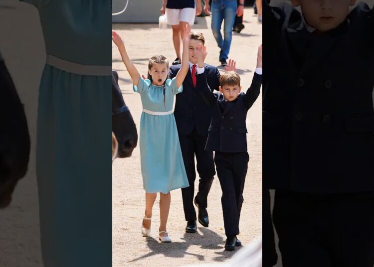 Everyone stunned by Louis’ super cute dance#royal #princelouis #dance #princess #charlotte