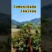 loucura de lindo fazenda comunidade realeza #